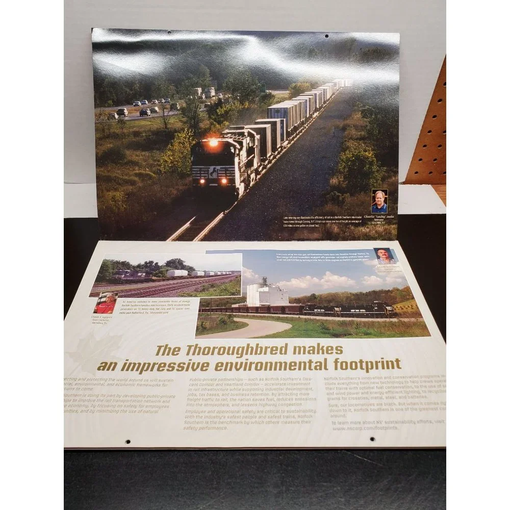 Norfolk Southern this 2009